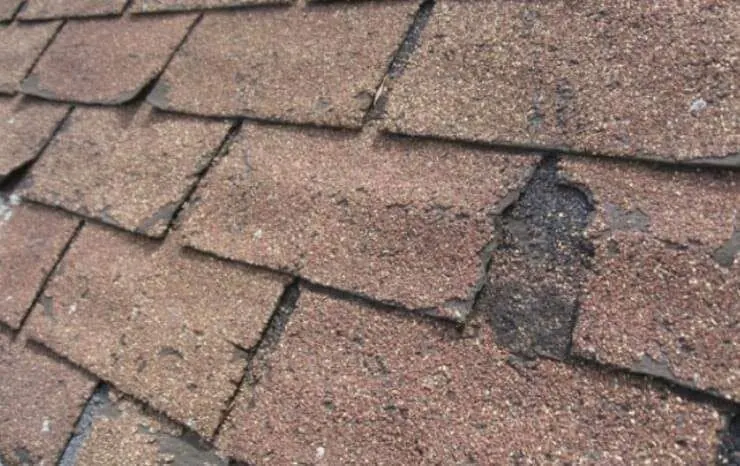 Cracked and split asphalt shingle in need of repair