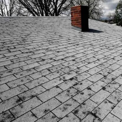 Hail damage scattered across asphalt shingles